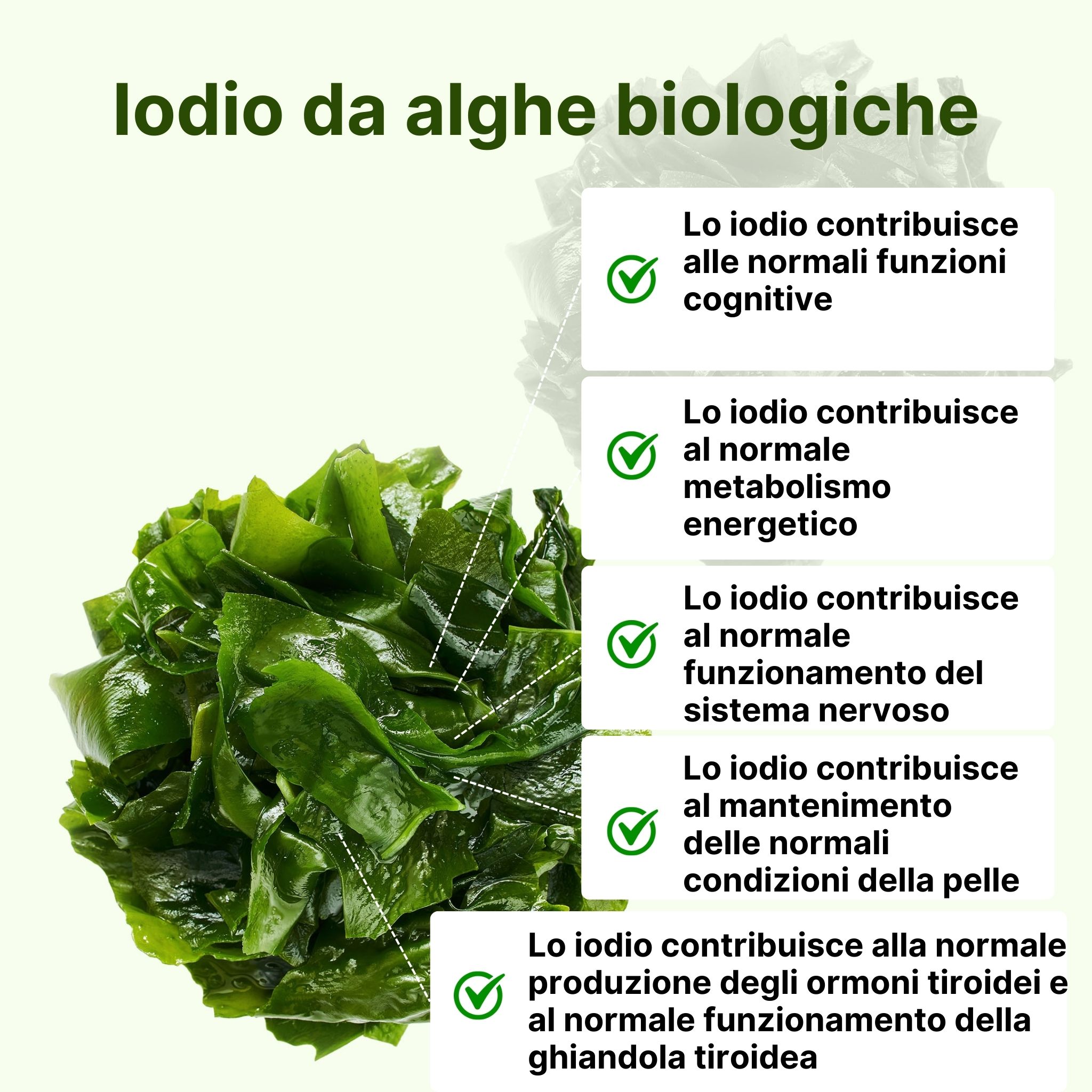 (Italština) (kopie 2)